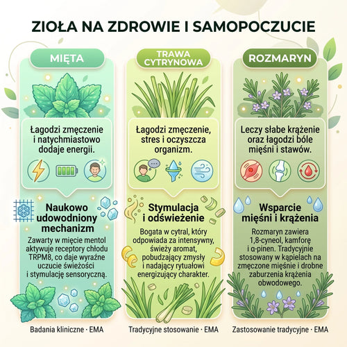 Energetyczne gąbki manifestacji mocy - 3 sztuki